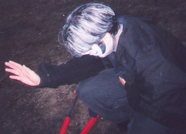 Kite, after the ants have fallen.